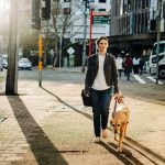 Assistance Animal National Principles